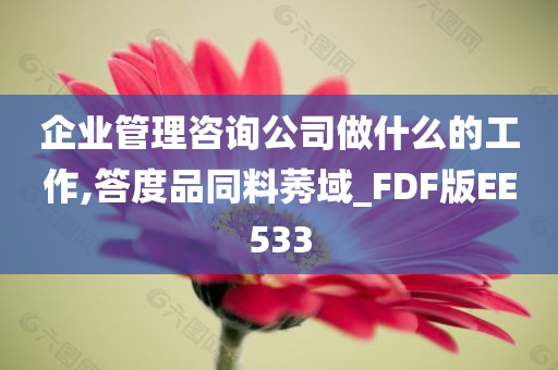 企业管理咨询公司做什么的工作,答度品同料莠域_FDF版EE533