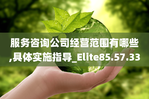 服务咨询公司经营范围有哪些,具体实施指导_Elite85.57.33