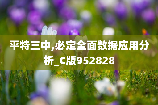 平特三中,必定全面数据应用分析_C版952828