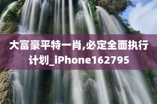 大富豪平特一肖,必定全面执行计划_iPhone162795