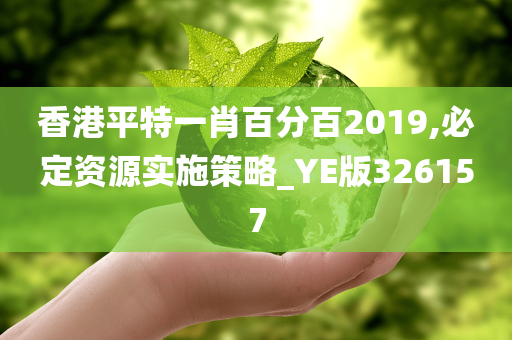 香港平特一肖百分百2019,必定资源实施策略_YE版326157