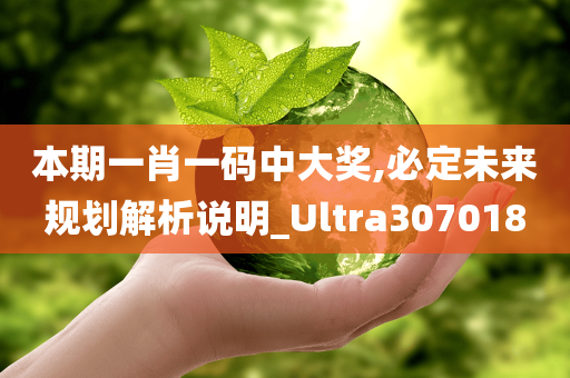 本期一肖一码中大奖,必定未来规划解析说明_Ultra307018