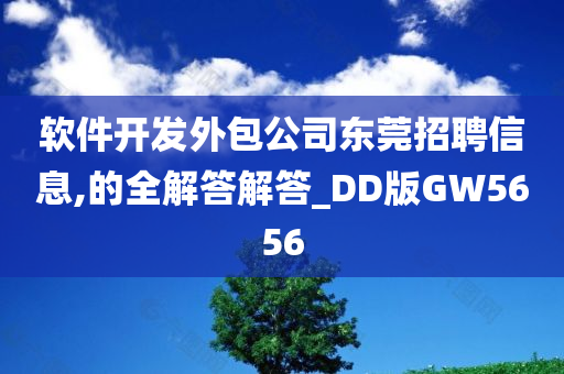 软件开发外包公司东莞招聘信息,的全解答解答_DD版GW5656