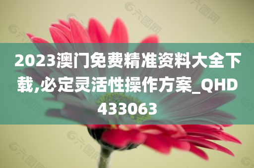 2023澳门免费精准资料大全下载,必定灵活性操作方案_QHD433063