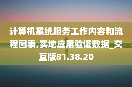 计算机系统服务工作内容和流程图表,实地应用验证数据_交互版81.38.20