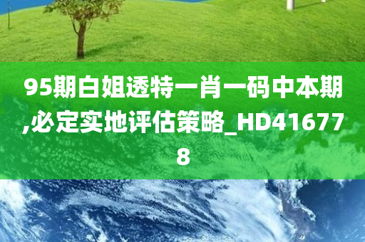 95期白姐透特一肖一码中本期,必定实地评估策略_HD416778