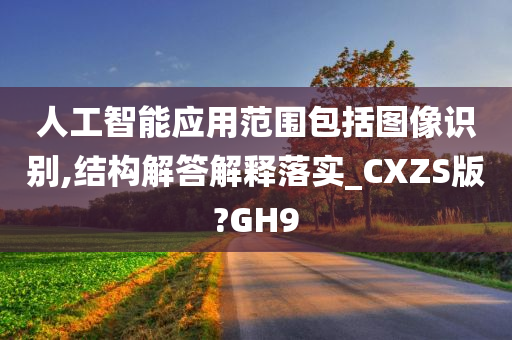 人工智能应用范围包括图像识别,结构解答解释落实_CXZS版?GH9