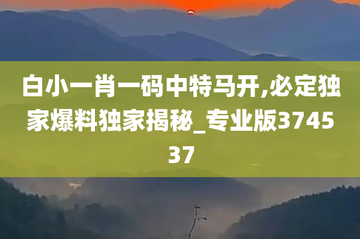 白小一肖一码中特马开,必定独家爆料独家揭秘_专业版374537