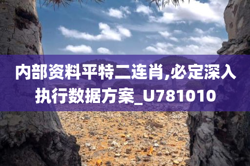 内部资料平特二连肖,必定深入执行数据方案_U781010