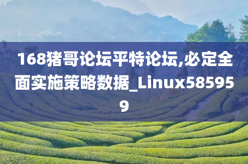 168猪哥论坛平特论坛,必定全面实施策略数据_Linux585959