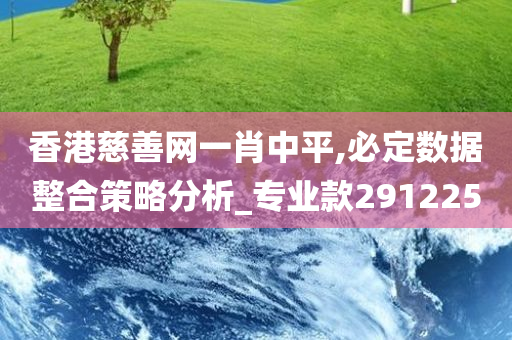 香港慈善网一肖中平,必定数据整合策略分析_专业款291225