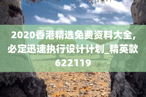 2020香港精选免费资料大全,必定迅速执行设计计划_精英款622119