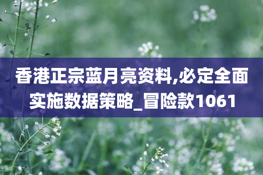 香港正宗蓝月亮资料,必定全面实施数据策略_冒险款1061