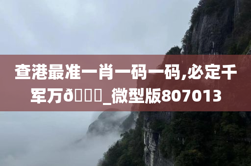 查港最准一肖一码一码,必定千军万🐎_微型版807013