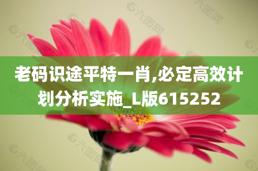 老码识途平特一肖,必定高效计划分析实施_L版615252