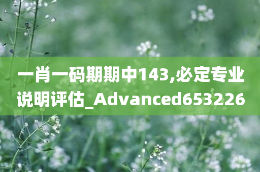 一肖一码期期中143,必定专业说明评估_Advanced653226