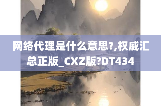 网络代理是什么意思?,权威汇总正版_CXZ版?DT434