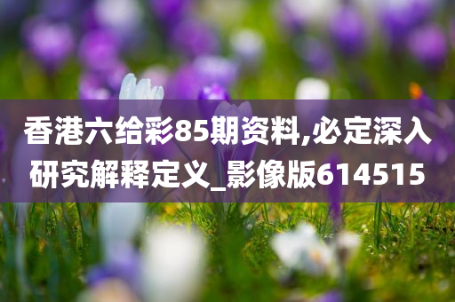 香港六给彩85期资料,必定深入研究解释定义_影像版614515