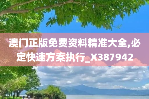 澳门正版免费资料精准大全,必定快速方案执行_X387942