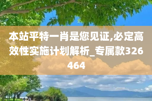 本站平特一肖是您见证,必定高效性实施计划解析_专属款326464