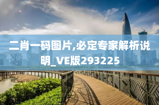 二肖一码图片,必定专家解析说明_VE版293225