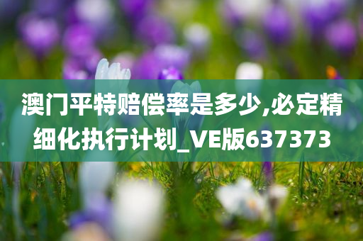 澳门平特赔偿率是多少,必定精细化执行计划_VE版637373