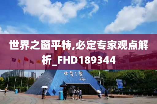 世界之窗平特,必定专家观点解析_FHD189344