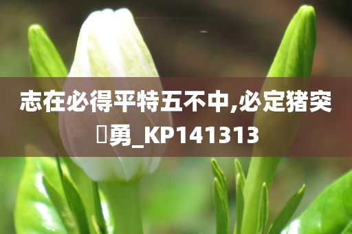 志在必得平特五不中,必定猪突豨勇_KP141313