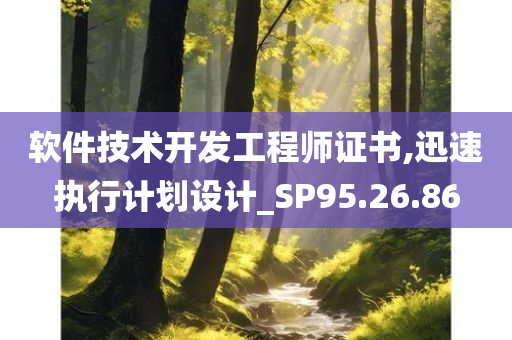 软件技术开发工程师证书,迅速执行计划设计_SP95.26.86