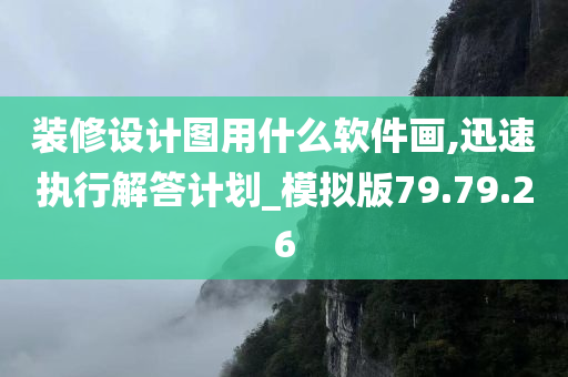 装修设计图用什么软件画,迅速执行解答计划_模拟版79.79.26