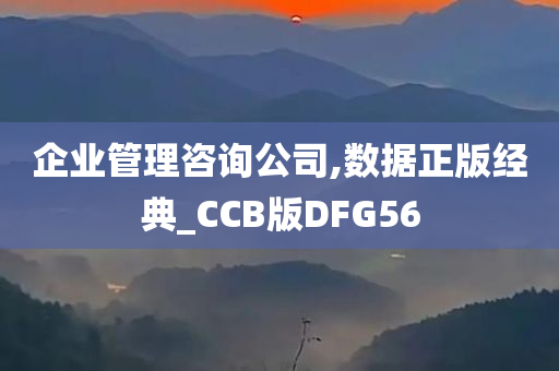 企业管理咨询公司,数据正版经典_CCB版DFG56