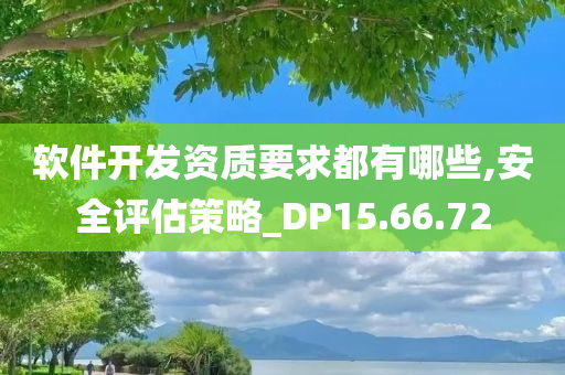 软件开发资质要求都有哪些,安全评估策略_DP15.66.72