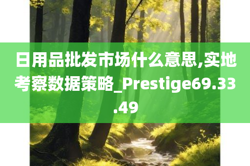 日用品批发市场什么意思,实地考察数据策略_Prestige69.33.49