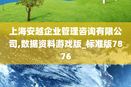 上海安越企业管理咨询有限公司,数据资料游戏版_标准版7876