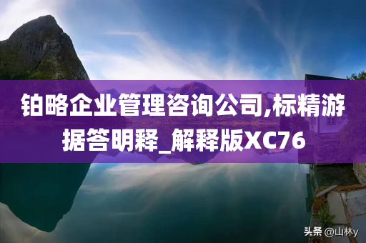 铂略企业管理咨询公司,标精游据答明释_解释版XC76