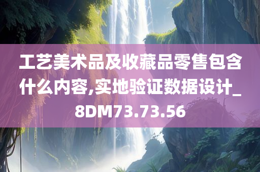 工艺美术品及收藏品零售包含什么内容,实地验证数据设计_8DM73.73.56