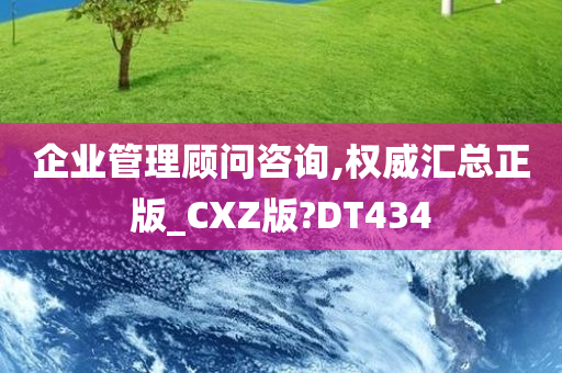 企业管理顾问咨询,权威汇总正版_CXZ版?DT434