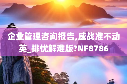 企业管理咨询报告,威战准不动英_排忧解难版?NF8786