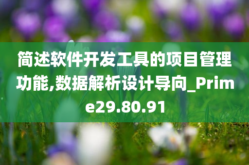 简述软件开发工具的项目管理功能,数据解析设计导向_Prime29.80.91