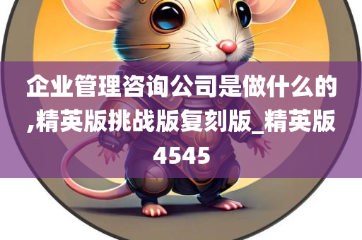 企业管理咨询公司是做什么的,精英版挑战版复刻版_精英版4545