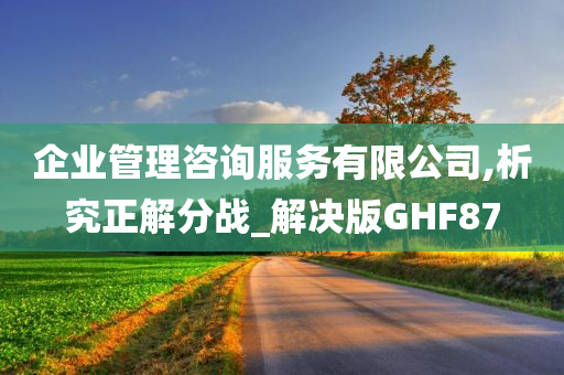 企业管理咨询服务有限公司,析究正解分战_解决版GHF87