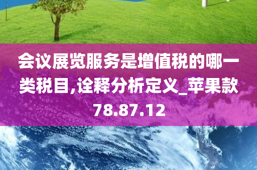 会议展览服务是增值税的哪一类税目,诠释分析定义_苹果款78.87.12