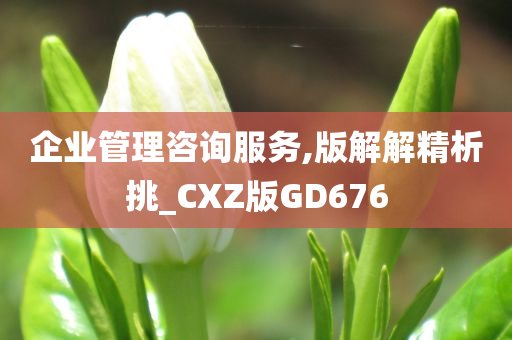 企业管理咨询服务,版解解精析挑_CXZ版GD676