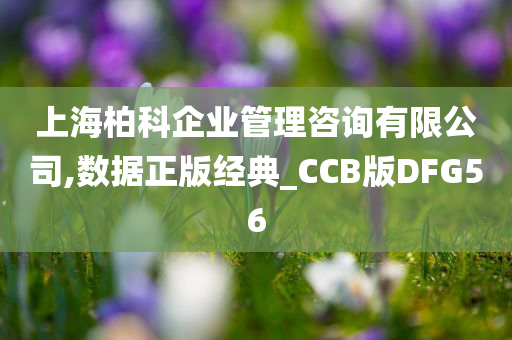 上海柏科企业管理咨询有限公司,数据正版经典_CCB版DFG56