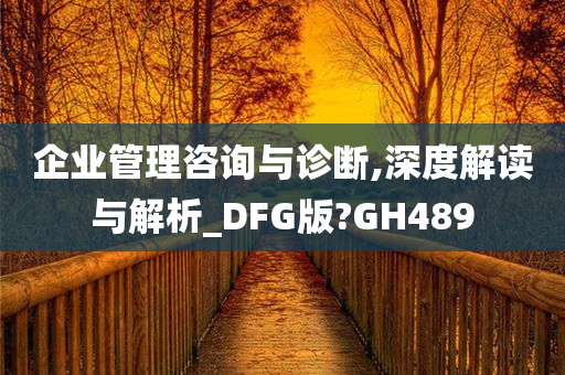 企业管理咨询与诊断,深度解读与解析_DFG版?GH489