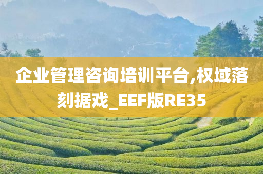 企业管理咨询培训平台,权域落刻据戏_EEF版RE35