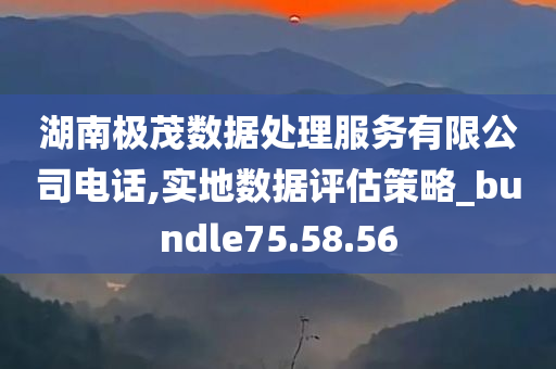 湖南极茂数据处理服务有限公司电话,实地数据评估策略_bundle75.58.56