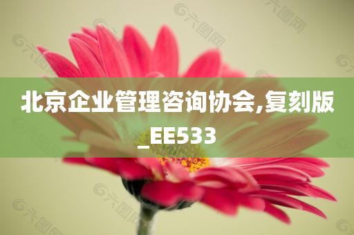 北京企业管理咨询协会,复刻版_EE533