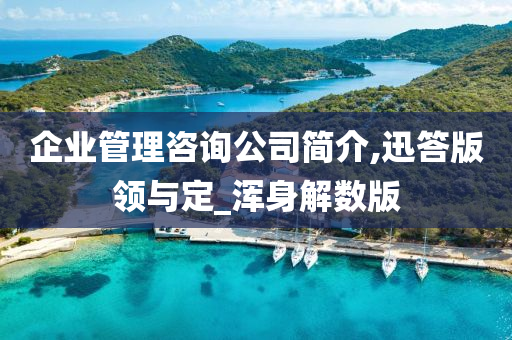 企业管理咨询公司简介,迅答版领与定_浑身解数版