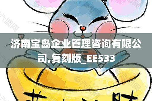 济南宝岛企业管理咨询有限公司,复刻版_EE533